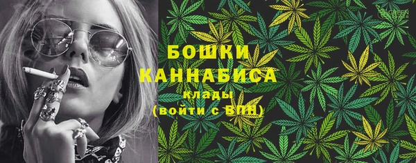 тгк Вяземский