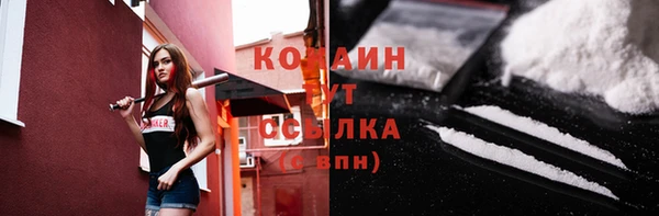 тгк Вяземский