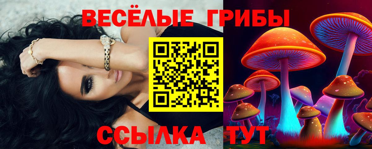 Псилоцибиновые грибы прущие грибы Гусь-Хрустальный